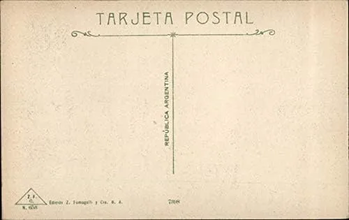 Vista 2 de Museo de Bellas Artes Buenos Aires, Argentina Original Antique Postcard