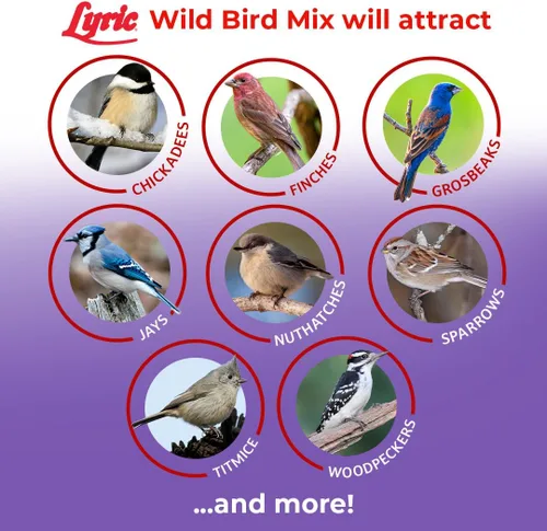 Vista 5 de Lyric Mezcla de aves silvestres: incluye maíz, nueces y semillas de aves