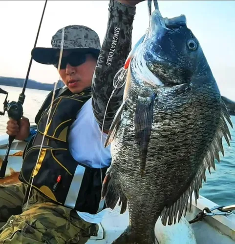 Vista 6 de 20 piezas de rodamientos de bolas giratorios aparejos de pesca a presión giratorios de pesca de barril de agua salada, clips de pesca, clips
