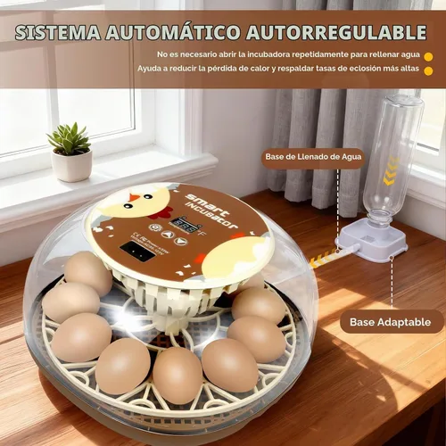 Vista 3 de Nest I - Incubadora de 12 huevos para principiantes, giro automático de huevos, humedad constante con botella de agua de recarga automática