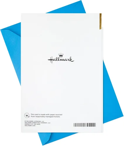 Vista 7 de Hallmark Tarjeta de cumpleaños para hombre (Barbacoa) (5RZB2036)