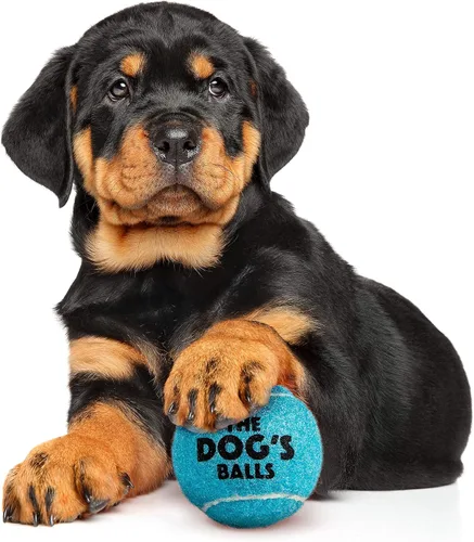 Vista 7 de The Little Dog's Balls - Pelotas de tenis para perros pequeños y cachorros, color azul, paquete de 6, pelotas de fieltro no abrasivas, núcleo