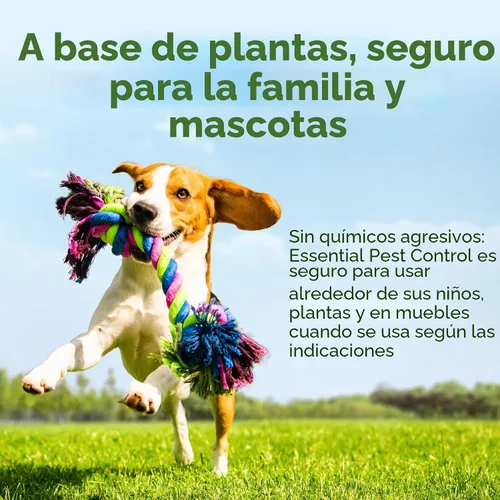 Vista 5 de BugMD matahormigas y concentrado de aerosol antiinsectos - Mata cucarachas y chinches de interior, aerosol para arañas para el hogar, defensa contra