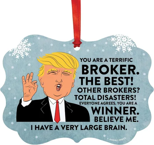 Vista 126 de Andaz Press Presidente Donald Trump Fancy Frame Recuerdo Adorno de Navidad Regalo de broma, excelente contador, 1 paquete, divertidas ideas