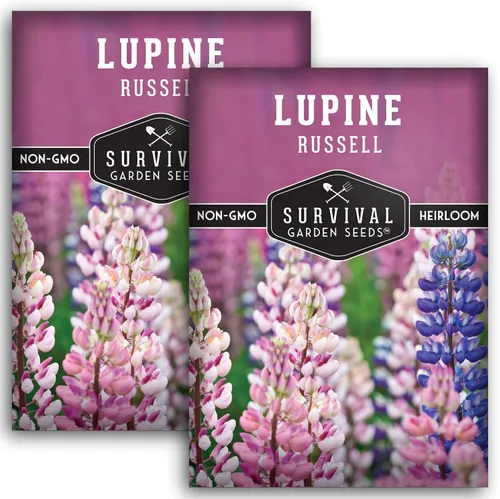 Vista 10 de Survival Garden Seeds Russell Lupine Mix Semillas para plantar, 1 paquete Mezcla de flores perennes, picos altos y coloridos, flores de jardín