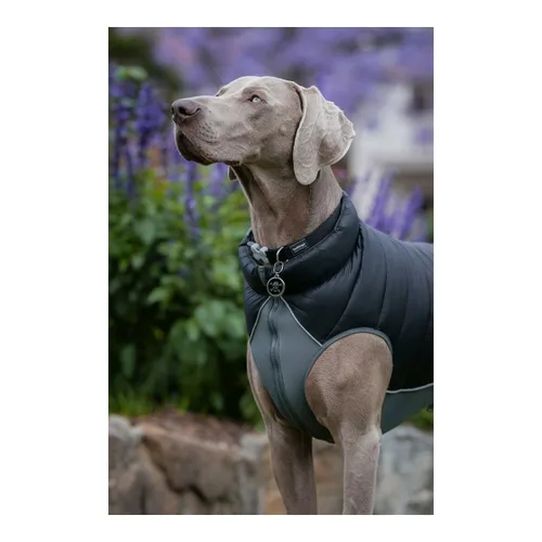 Vista 5 de Abrigo para Perro Red Dingo Puffer Negro/Gris 25 cm