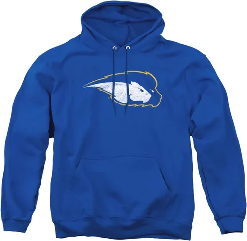 Vista 12 de Distressed College Primary Logo Adult Pullover Hoodie Collection 1 Universidad Estatal de Albany