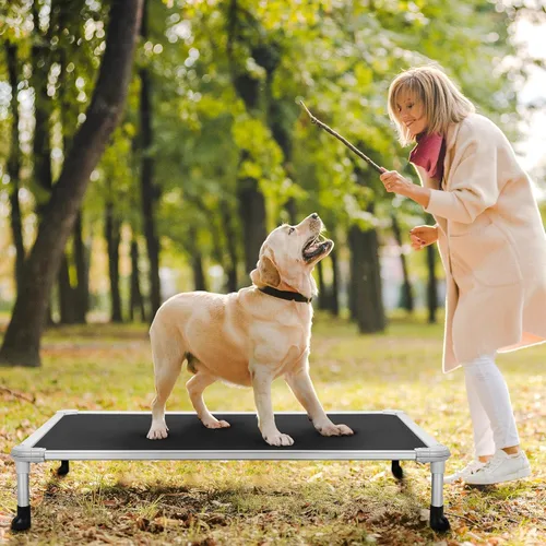 Vista 108 de Veehoo Cama elevada para perros a prueba de mordidas - Cuna elevada refrescante para mascotas - Marco de aluminio plateado y tela de malla
