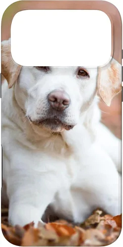 Vista 22 de Labrador Retriever Dog Lover - Carcasa para iPhone 17