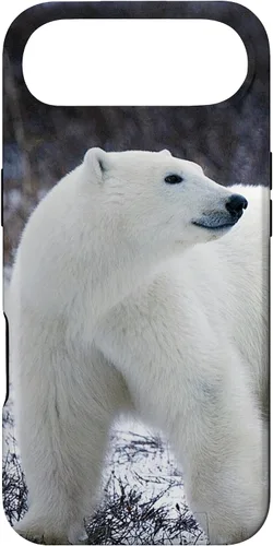 Vista 27 de Polar Bears Animal Nature Case for iPhone 17