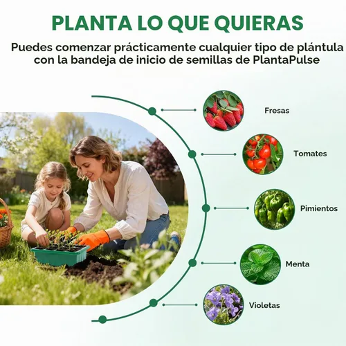 Vista 5 de 5 paquetes de bandejas para semillas con cúpula de humedad, kit de inicio de semillas con base transparente con orificios de drenaje