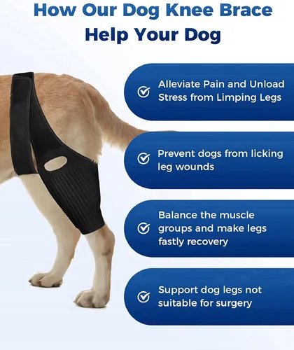 Vista 4 de Rodillera para perro, soporte de ACL para perros para patas traseras y traseras delanteras y traseras