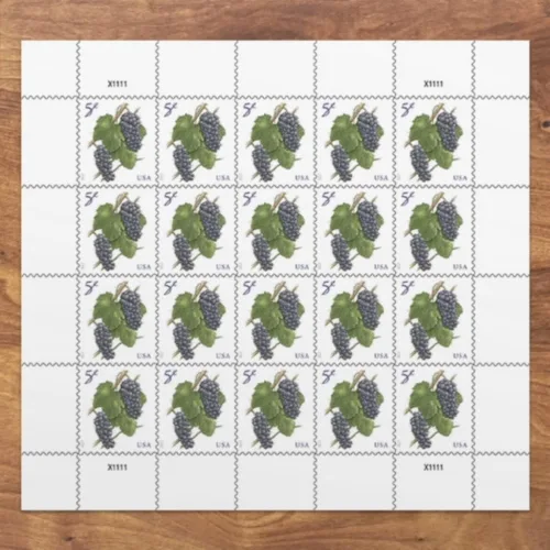 Vista 2 de 2017 Grapes 5 Cent Stamp en hoja de veinte sellos Scott 5177.