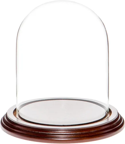 Vista 7 de Plymor Cúpula de cristal de 4.5 x 6 pulgadas (base de madera MDF negra)