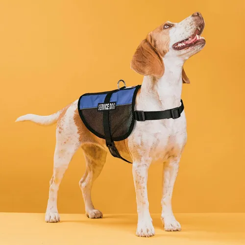 Vista 5 de Dogline Chaleco para perro de servicio, 17 x 21 pulgadas, azul