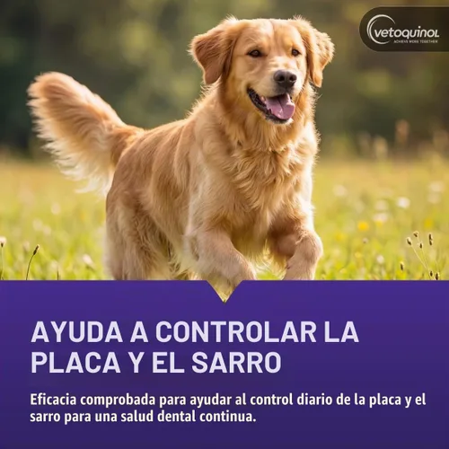 Vista 4 de Vetoquinol Dentahex - Enjuague de higiene bucal para mascotas, 8 onzas