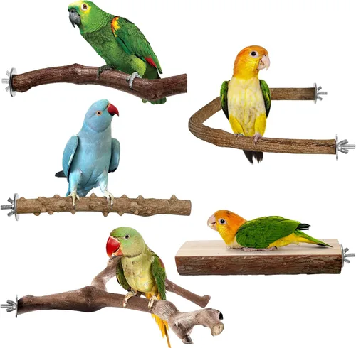 Vista 8 de Perchas para Pájaros, 6 piezas Ramas de Soporte de Madera Natural para Pájaros, Palo de Percha para Pájaros para Masticar, Accesorios de Jaula