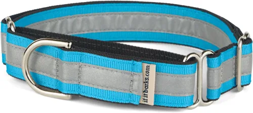 Vista 7 de If It Barks Collar Martingala reflectante de 1" para perros, ajustable, fabricado en Estados Unidos, pequeño, oro amarillo Amarillo Oro