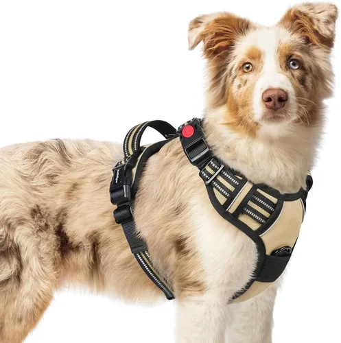 Vista 22 de Rabbitgoo - Arnés para perro de tamaño pequeño, actualizado, fácil de poner y quitar con 3 hebillas Sin tirones, sin estrangulamiento, caminar