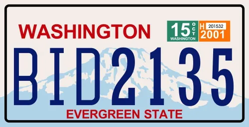 Vista 8 de Juego de 10 placas de metal para automóviles de Estados Unidos - réplicas de placas americanas reales de los estados americanos más famosos - MAD