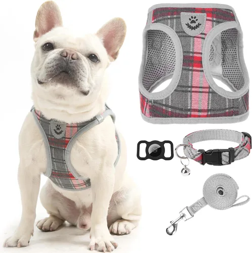 Vista 24 de Arnés para cachorros de otoño de Acción de Gracias - Collar y correa para perro - Arnés de chaleco para perros pequeños de malla suave acolchada