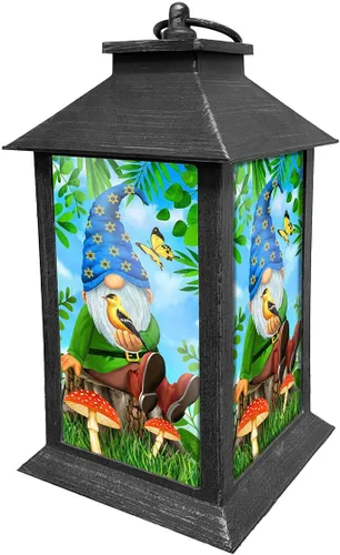 Vista 5 de Briarwood Lane con God Lantern LT01969