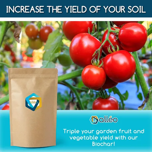 Vista 8 de Superchar - Enmienda de suelo de carbón de biocarbón premium - Suplemento fertilizante orgánico de alto rendimiento de 24 onzas - Potenciador