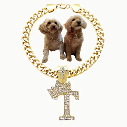 Vista 35 de Collar de cadena con letra inicial cubana para perro, collar de cadena para mascotas, gato, collar para cachorro (S, 25 cm)