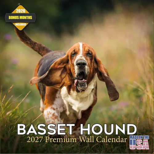 Vista 42 de Calendario de Lebrel Afgano 2025 2026, calendario mensual de pared de raza canina, 12" x 18" abierto, papel grueso sin traspaso, ideal para regalo