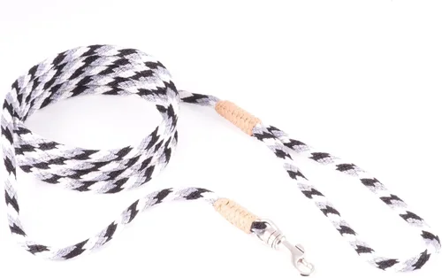 Vista 93 de Alvalley Correa para perros estilo broche – Correa de nailon estilo broche para perros – Fácil de manejar – Perfecto para perros pequeños, medianos