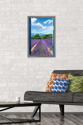 Vista 2 de Trends International Póster de pared de campo de lavanda, 14.725 x 22.375 pulgadas, versión enmarcada de madera de granero Versión enmarcada Barnwood