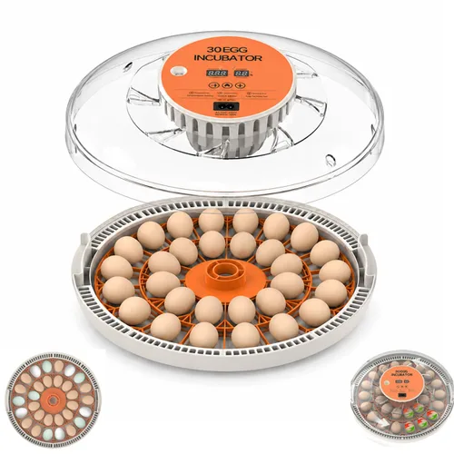Vista 11 de HOWOOlUA - Incubadora de huevos para incubar huevos con giro automático, control de temperatura y humedad, incubadora de huevos integrada de gran