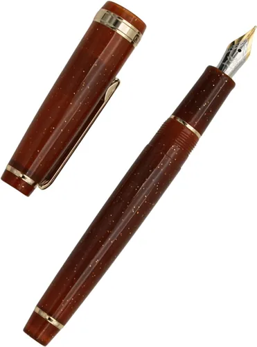 Vista 8 de 82 Pluma estilográfica - Barril de material acrílico, plumín extrafino de iridio con convertidor de tinta, pluma de escritura suave, diseño clásico