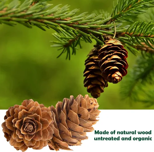 Vista 3 de Deloky 60 mini conos de pino colgantes naturales de Navidad con cuerda, 1.2 pulgadas, otoño, Acción de Gracias, árbol de Navidad, adornos de piña