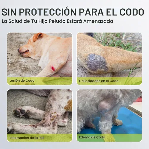 Vista 2 de Coderas para perro para callos, úlceras por presión y dislocación de hombros. Soporte para codo y hombro canino para perro. Protector de codo