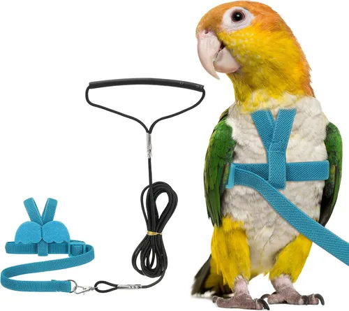 Vista 12 de Correa de arnés para pájaros, arnés ajustable para pájaros y loros para mascotas, ligera, antimordeduras, cuerda de entrenamiento de vuelo con linda
