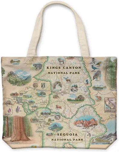 Vista 22 de Xplorer Maps Bolsa de lona con asas, bolsa de compras de comestibles de tela, bolsa reutilizable y ecológica, 100% algodón, lavable