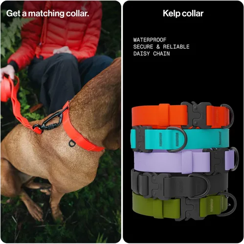 Vista 7 de Säker Kelp™ Correa Impermeable para Perros – Resistente, A Prueba de Olores, Correa para Perros Ajustable de 4 a 6 pies de Largo con Mosquetón