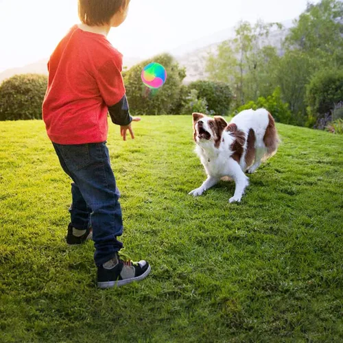 Vista 3 de 2 bolas grandes para perros con luz intermitente, bola elástica que brilla en la oscuridad, interactiva, saltando, parpadeante, juguetes