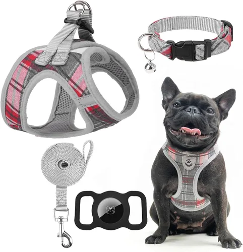 Vista 37 de Arnés para cachorros de otoño de Acción de Gracias - Collar y correa para perro - Arnés de chaleco para perros pequeños de malla suave acolchada