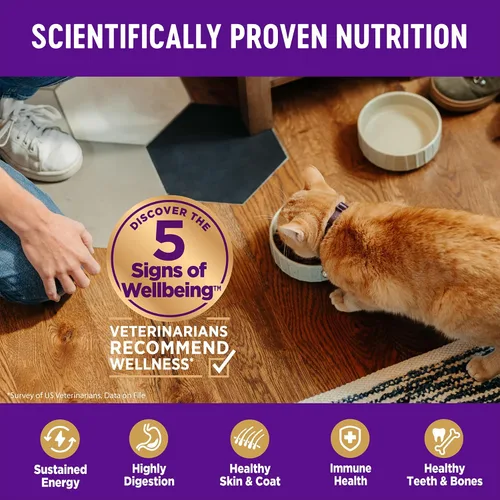 Vista 4 de Wellness, Comida Completa para Gatos, Saludable, Natural, Libre de Granos, Seca.