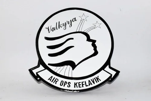 Vista 2 de Placa Keflivak NAS