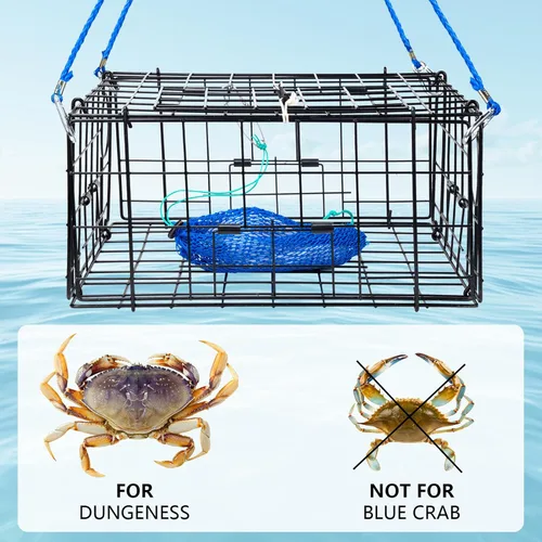 Vista 6 de QualyQualy 2 Packs Foldable Crab Trap 24", Crab Bait Bag，Pacific Heavy Duty Steel Crap Cage Kit with Harness, 100’ Sinking Line, Easy Store & Carry
