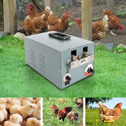 Vista 8 de Máquina de debeaking de pollo Actualización automática Máquina de debeaking eléctrica de pollo Máquina Debeaker de pollo Equipo de corte