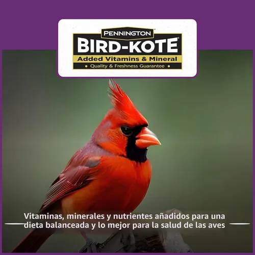 Vista 6 de Pennington - Songbird Nut & Fruit - Mezcla de semillas para pájaros silvestres, 10 libras