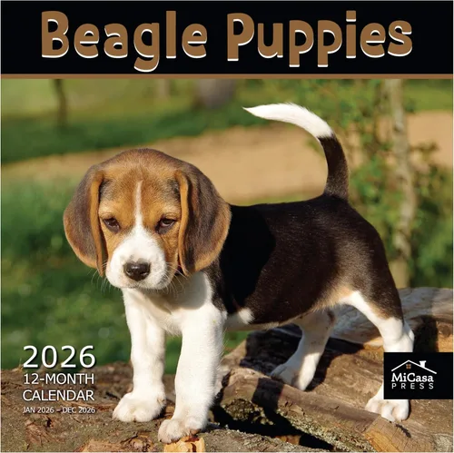 Vista 97 de MICASA PRESS Calendario de pared de Australian Shepherds Aussies 2027 02 - Pastores australianos