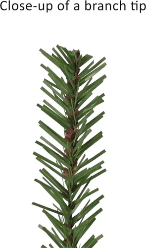 Vista 7 de Puleo International - Árbol de Navidad artificial preiluminado de 5 pies, tipo pino alpin, con 150 luces transparentes, 391 puntas de ramas densas