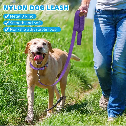 Vista 4 de Juego de 6 juegos de correa y collar reflectantes para perro, correas de nailon ajustables, collar de perro resistente, correa de mango acolchado