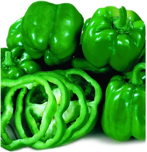 Vista 2 de Park Seed Minis Fresh Bites - Semillas de pimiento dulce de naranja – Pimiento compacto comestible en maceta para contenedores, variedad