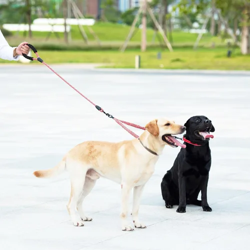 Vista 6 de iYoShop Correa doble para perro, giratoria de 360°, correa para caminar sin enredos con elástico absorbente de golpes para dos perros
